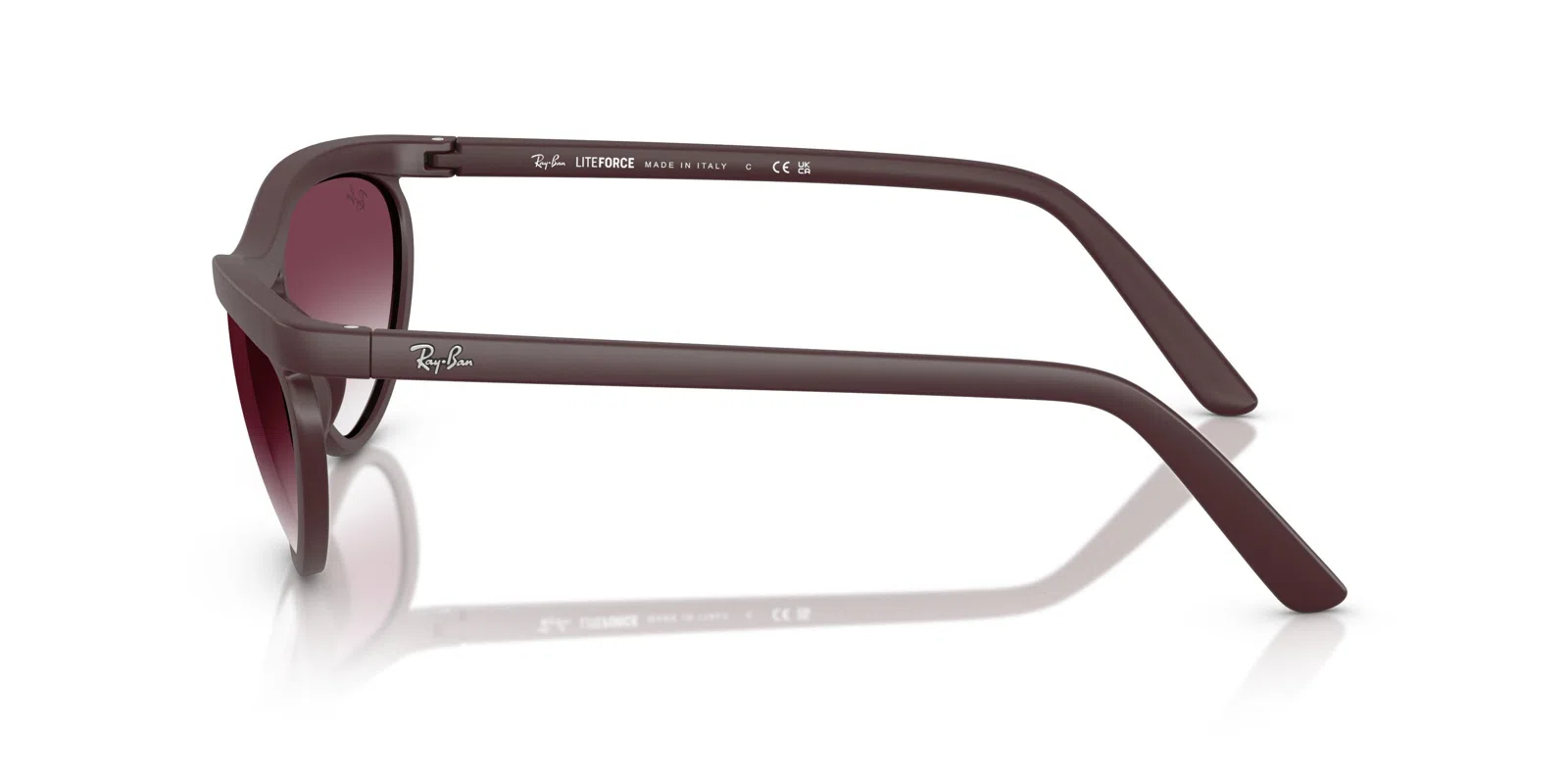 Ray-Ban 4453 Sunglasses - view 25